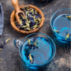 Nueranya Butterfly Pea Flower Tea with Ginger - Image 8